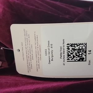 Revelry Dawson velvet gown NWT